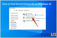 How can I see the passwords stored in Windows Credentia